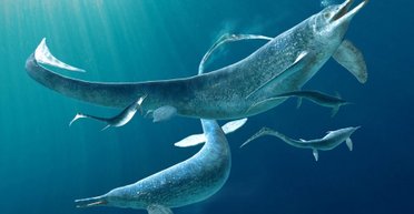 Ученые описали одного из самого крупного ихтиозавра, жившего 250 млн лет назад (фото)