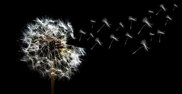 Реальный мир суров. Хотите об этом поговорить? Как психотерапия стала современной религией