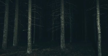 "Бермудский треугольник Трансильвании": что скрывает самый большой лес "с привидениями" в мире