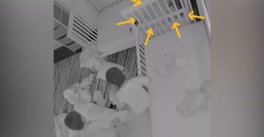 Хаос у дитячій: прихована камера показала, як проходить "тиха година" у трійнят