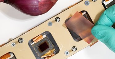 Цибуля замість нафти: вчені зробили інноваційну плівку для поліпшення сонячних панелей