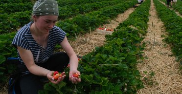 Отдельные будут стимулироваться: Украине не обойтись без трудовых мигрантов, — эксперт