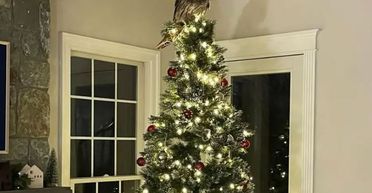 "Була в захваті": хазяйка знайшла сюрприз на верхівці новорічної ялинки (фото)