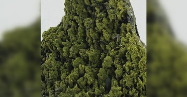 На вершині гори в Туреччині знайшли "скам'янілий ліс": мінерал схожий на застиглі дерева (відео)