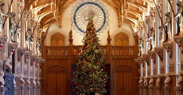 Королевская семья готовится к Хэллоуину: как Чарльз, Гарри и Кейт празднуют дома (фото)