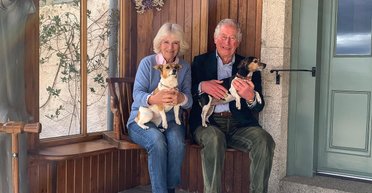 Корги, терьеры и не только: каких собак себе завели члены британской королевской семьи