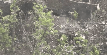 Земля не прихистила: оператори ССО застосували БПЛА та знищили росіян в траншеях (відео)