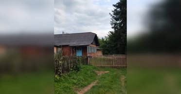 Украинцы купили гнилую хату в Карпатах: теперь им можно позавидовать (фото, видео)