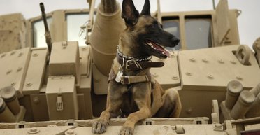 Не конкурент НАТО. Как создание европейской армии изменит баланс сил на континенте