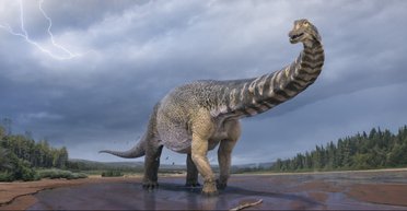 Величиной с баскетбольную площадку. В Австралии обнаружен динозавр невероятных размеров