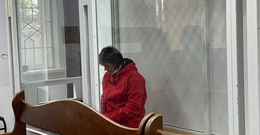 Нападение на Сергея Стерненко: нападавшей избрали меру пресечения, подробности (видео)