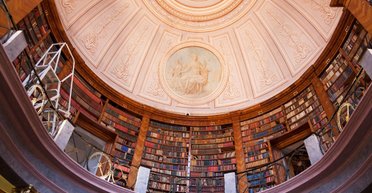 Сокровище под угрозой: 100 тысяч бесценных книг могут исчезнуть из-за обычного насекомого (фото)