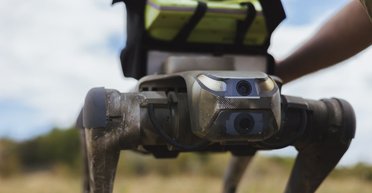 "Это большой плюс": в 28-й ОМБр рассказали о преимуществах роботов-собак на фронте (фото)