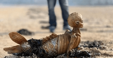 Моторошну істоту, що нагадує скелет русалки, викинуло на пляж (фото)