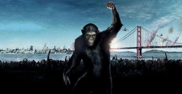 Обезьяна с гранатой. Почему люди убивают друг друга