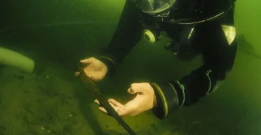 Сразу четыре находки: ученые обнаружили средневековые артефакты в Польше (фото)