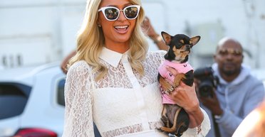 "Як близнюки": Кеті Гілтон розповіла про клонованих собак Періс Гілтон (фото)