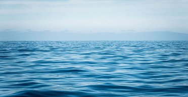 На дне Карибского моря нашли новое существо, похожее на голубую слизь (фото)