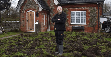 Банда свиней наводить жах на англійське село: жителі вимагають дій від влади