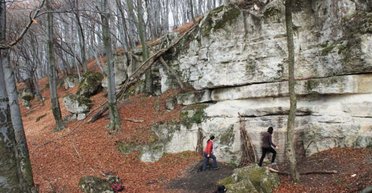 Артефакты железного века: в Румынии нашли уникальные инструменты дакийских каменотесов (фото)