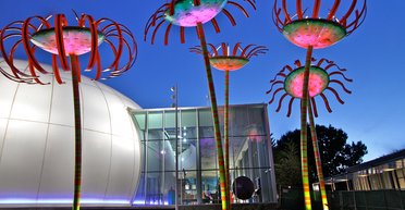 Конец солнечным панелям: устройства-цветы добывают солнечную энергию круглые сутки (фото)