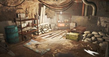 Жінка залізла у таємниче підземелля під будинком і не повірила своїм очам (фото)