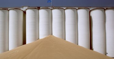 Вход затруднен. Почему зона свободной торговли с ЕС оказалась не настолько свободной