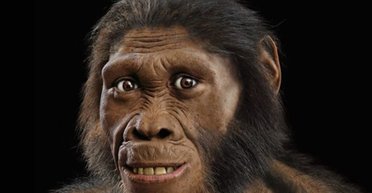 Свинец отравлял доисторических предков человека 2 млн лет: эволюция могла пойти иначе