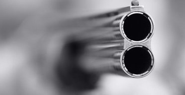 Сектор обстрела. Нужно ли Украине дать оружие своим гражданам, чтобы спасти государство