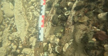 Перепишет историю региона: ученые нашли крупнейший в Европе клад слитков железного века (фото)