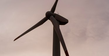 Решает важную проблему: разработана ветряная турбина с деревянными лопастями (фото)