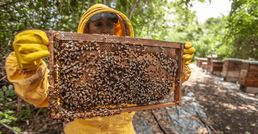 Народна медицина: в Україні скасували спецдозволи для цілителів