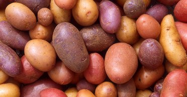 Необычный ген изменил жителей Анд: при чем здесь картофель (фото)