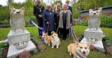 Міську раду осудили за встановлення пам'ятників собакам за $45 тисяч (фото)