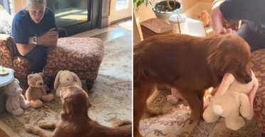 "Не може відмовити": бабуся придумала, як порадувати цуценя після травми (відео)