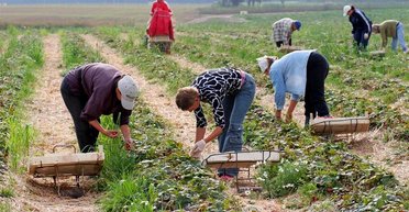 Чтобы не остаться без денег: кто поможет украинцам в Польше, если им не выплачивают зарплату