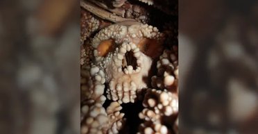 Нос одного неандертальца загнал палеонтологов в тупик: что с ним не так