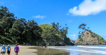 Без зарплати, але з видом на океан: люди в захваті від незвичайної роботи на райському острові