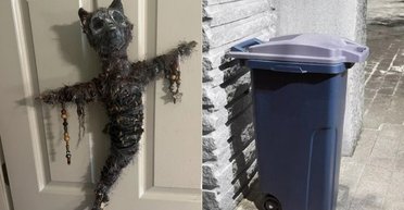 Продадуть на аукціоні: жінка витягла зі сміття загадкову "кішку-мумію" (фото)