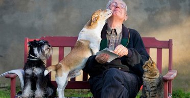 Почему собаки любят нюхать людей сзади: эксперты назвали причину