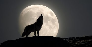 Перше небесне шоу 2026 року: 3 січня на небі з'явиться Вовчий Місяць і метеорний потік