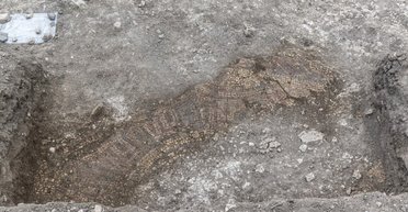 Нашли без раскопок: на Сицилии археологи обнаружили римский дом с мозаикой (фото)