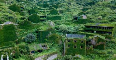 Ніхто більше не живе: плющ і трава повністю "окупували" колись багатолюдне село (фото)