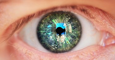 Удавка для демократии. Почему искусственный интеллект – мечта тоталитаризма