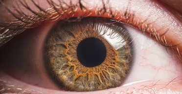 Людське око змусили побачити новий колір: який він має вигляд