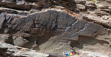 Одна надпись изменила историю Китая: что нашли археологи на плато Цинхай-Сицзан (фото)