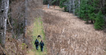 У Фінляндії влада таємно платить власникам ділянок на кордоні з РФ, щоб будувати фортифікації, – ЗМІ