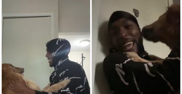 Мужчина отправился на прогулку и наткнулся на потерянную собаку: это изменило их судьбы (видео)