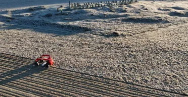 Путь короля: в Швеции нашли тайную дорогу времен Северной войны (фото)