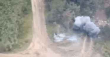 FPV-дрони "дикі шершні" уразили два танки РФ (відео)